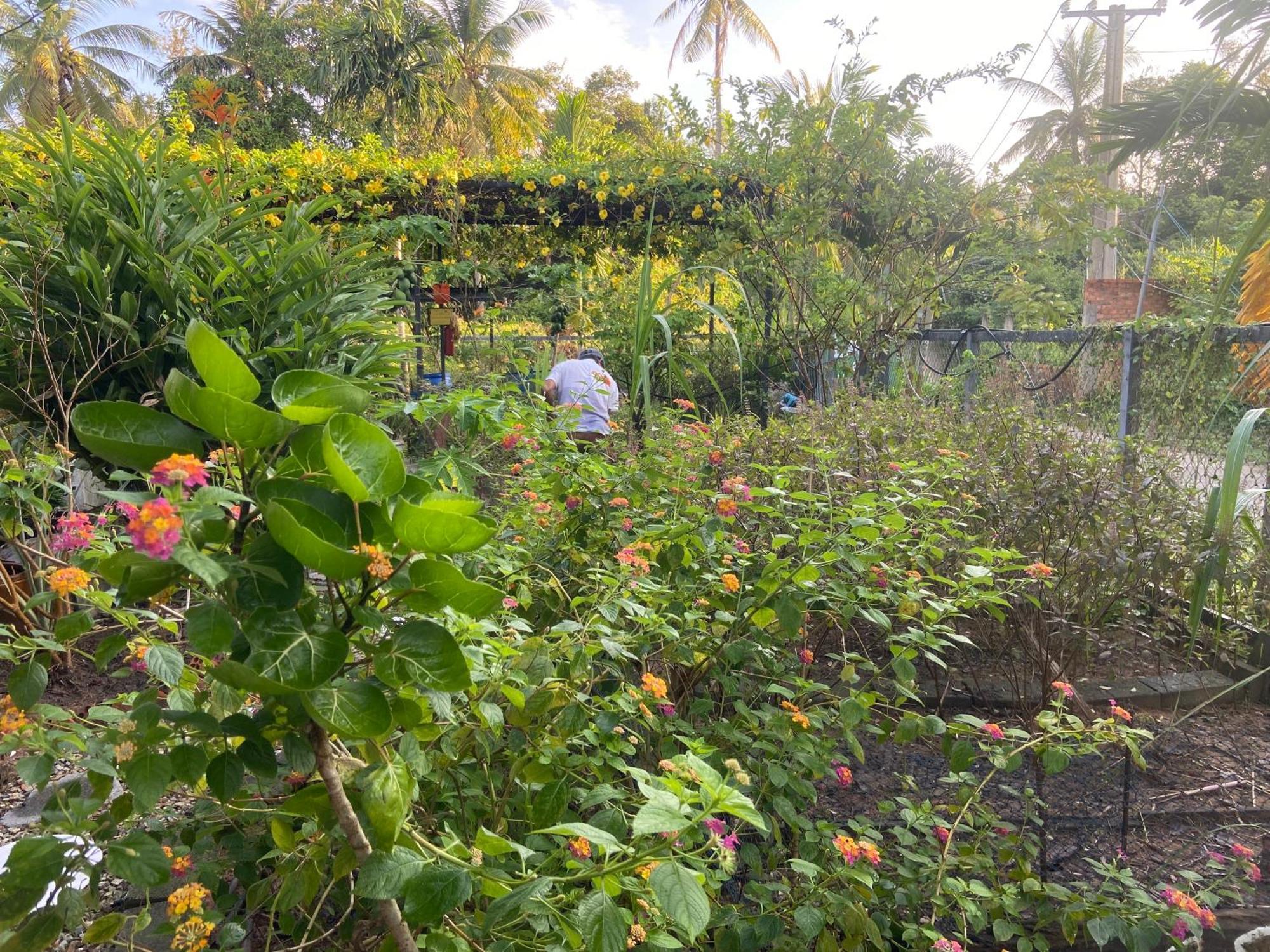 Lana Land Homestay Phu Quoc Luaran gambar