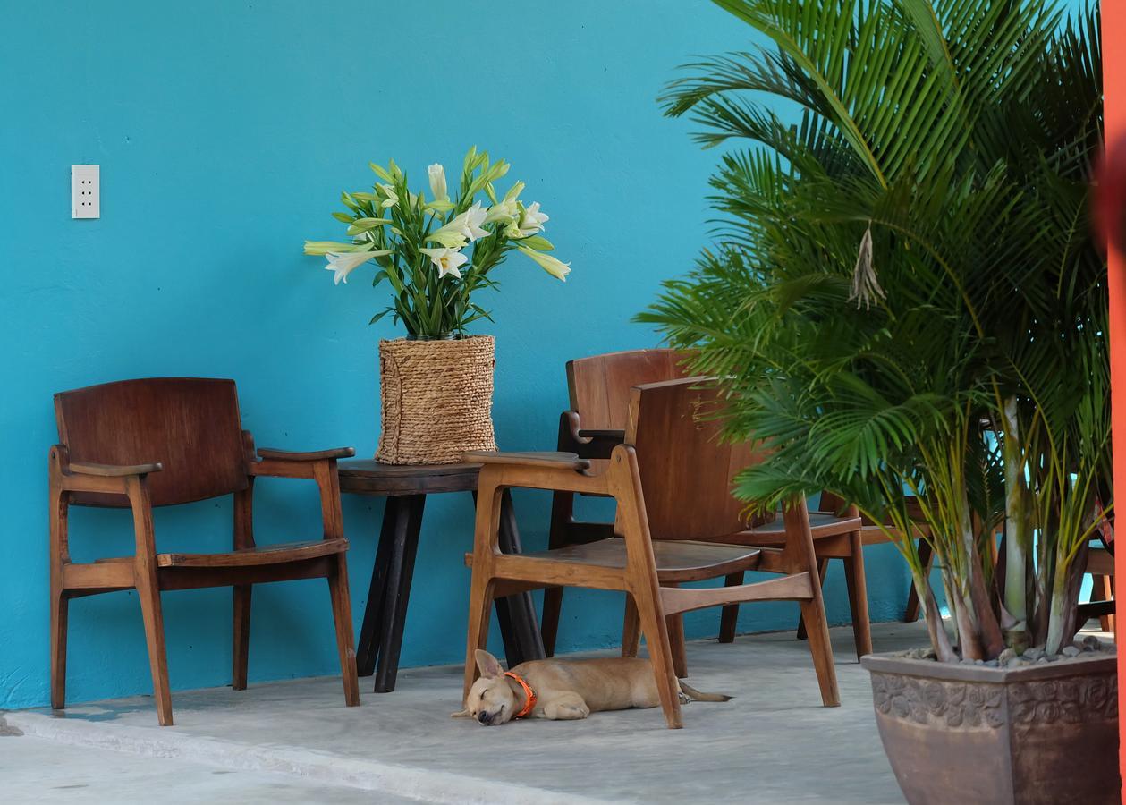 Lana Land Homestay Phu Quoc Luaran gambar