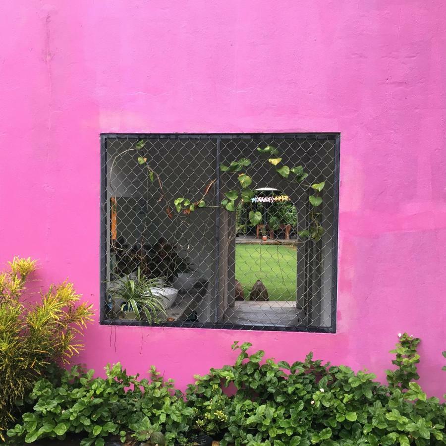 Lana Land Homestay Phu Quoc Luaran gambar
