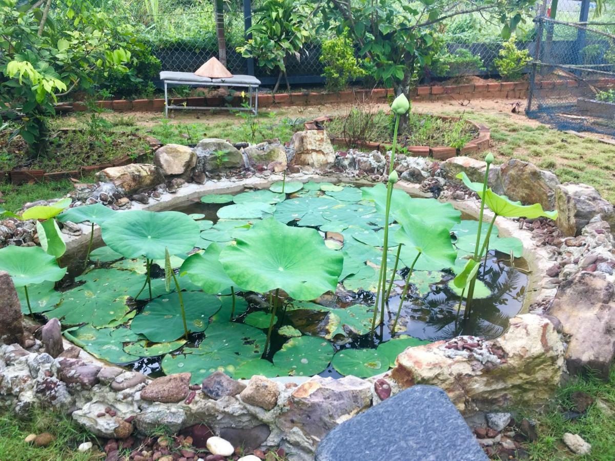 Lana Land Homestay Phu Quoc Luaran gambar